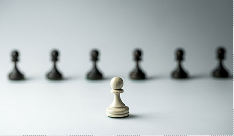 Lean Organization